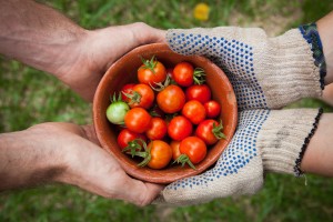 Questionario: I significati del servizio